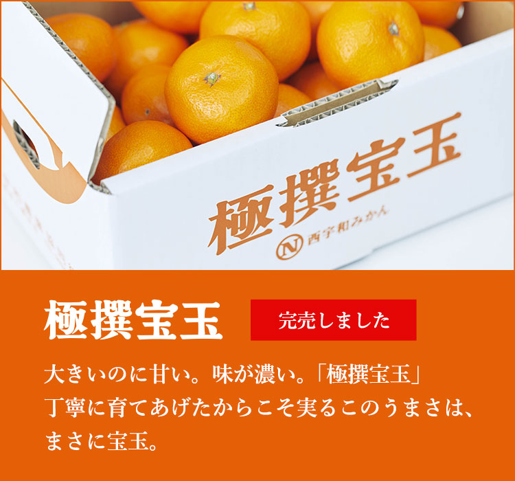 極撰宝玉