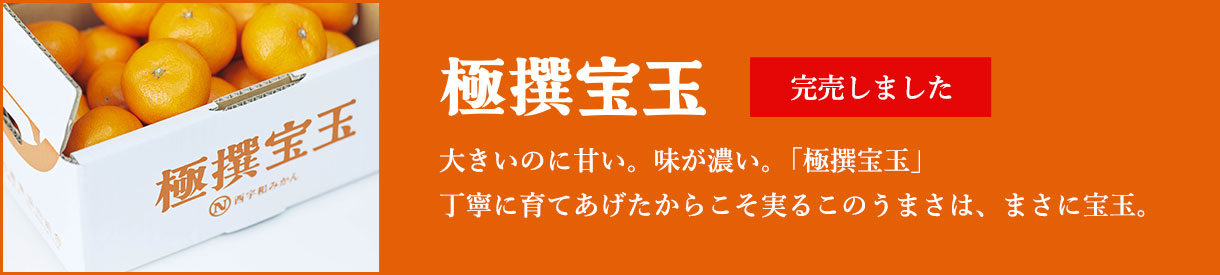 極撰宝玉