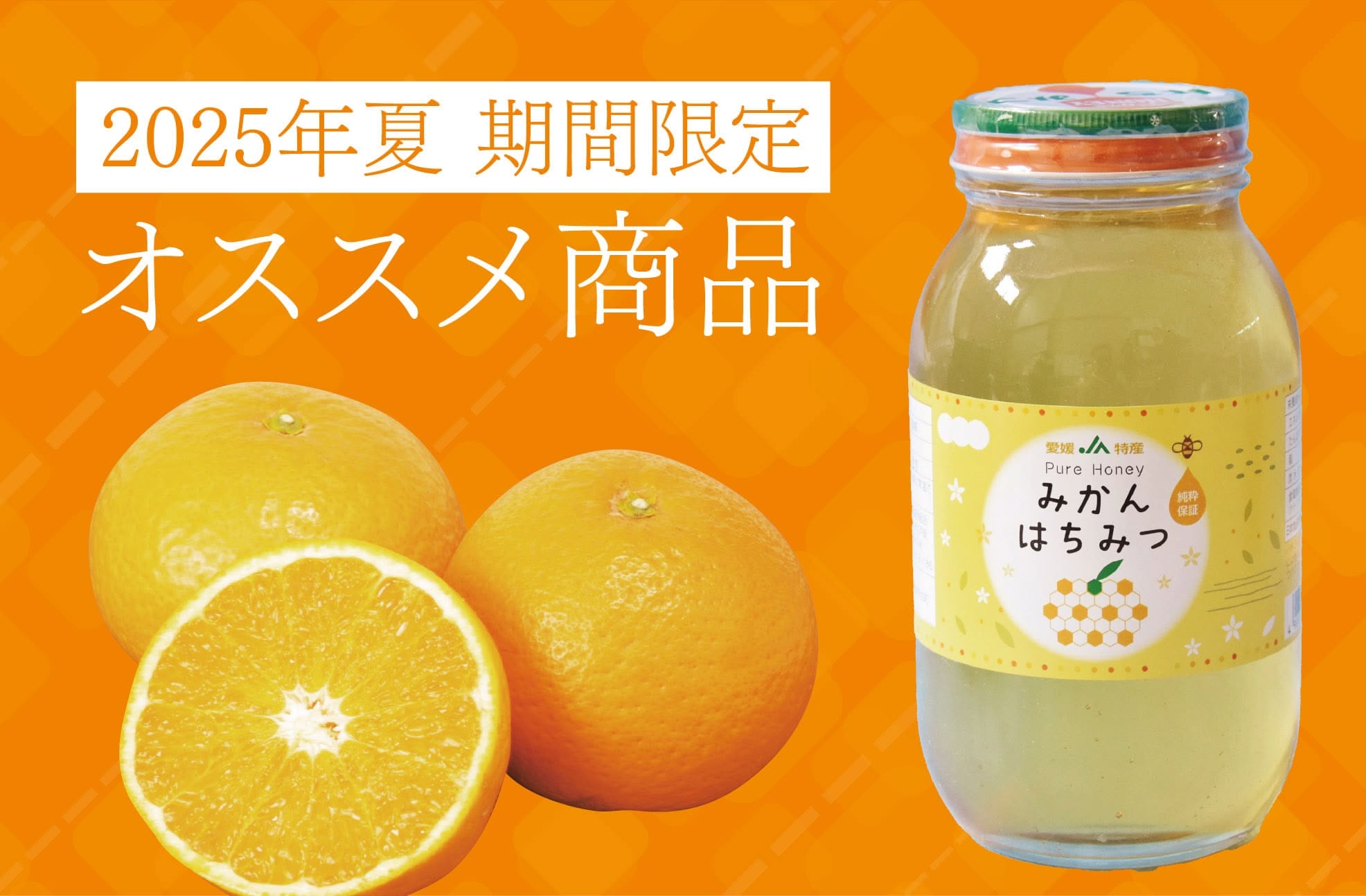 JAにしうわの夏のオススメ商品