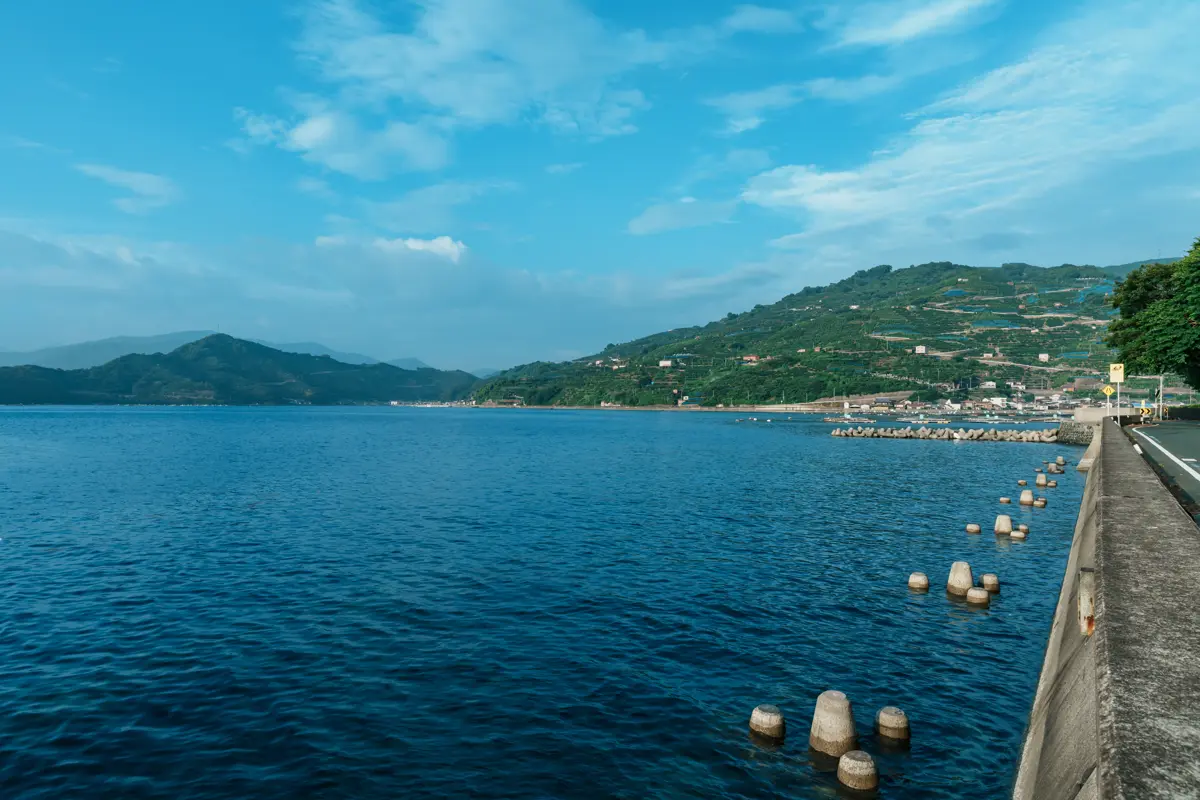 みかん農園に面した穏やかな海