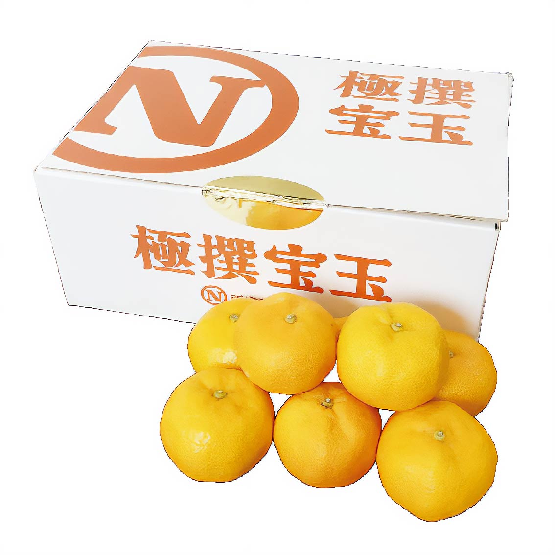 大きくて食べ応えのあるみかん「極撰宝玉」