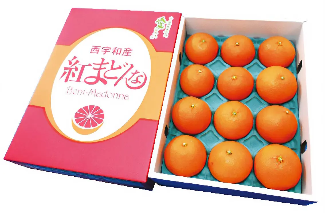 贈答用の紅まどんな