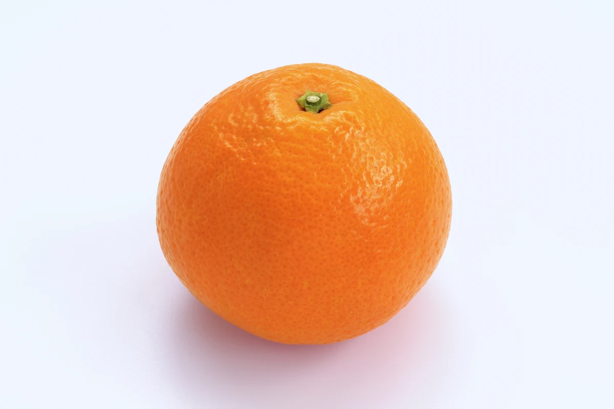 愛媛県の名物かんきつ「いよかん」