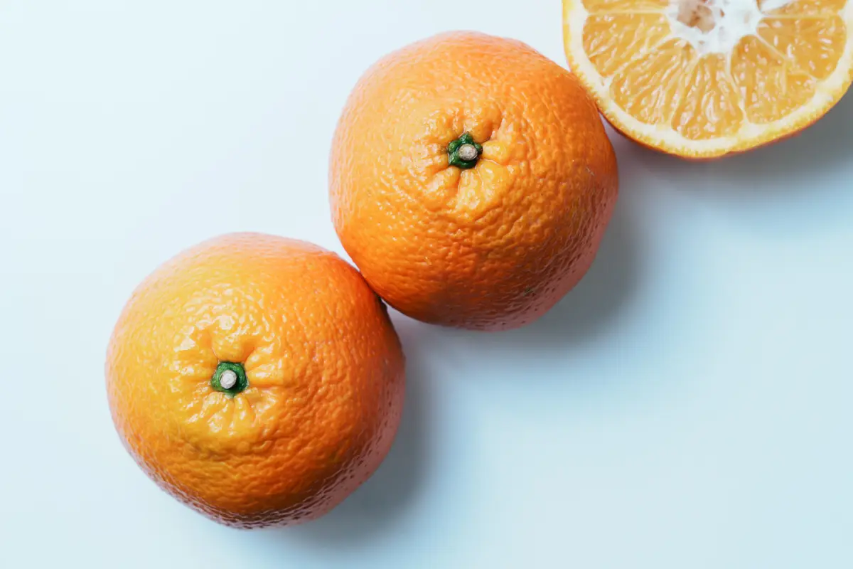 愛媛県の名物かんきつ「いよかん」