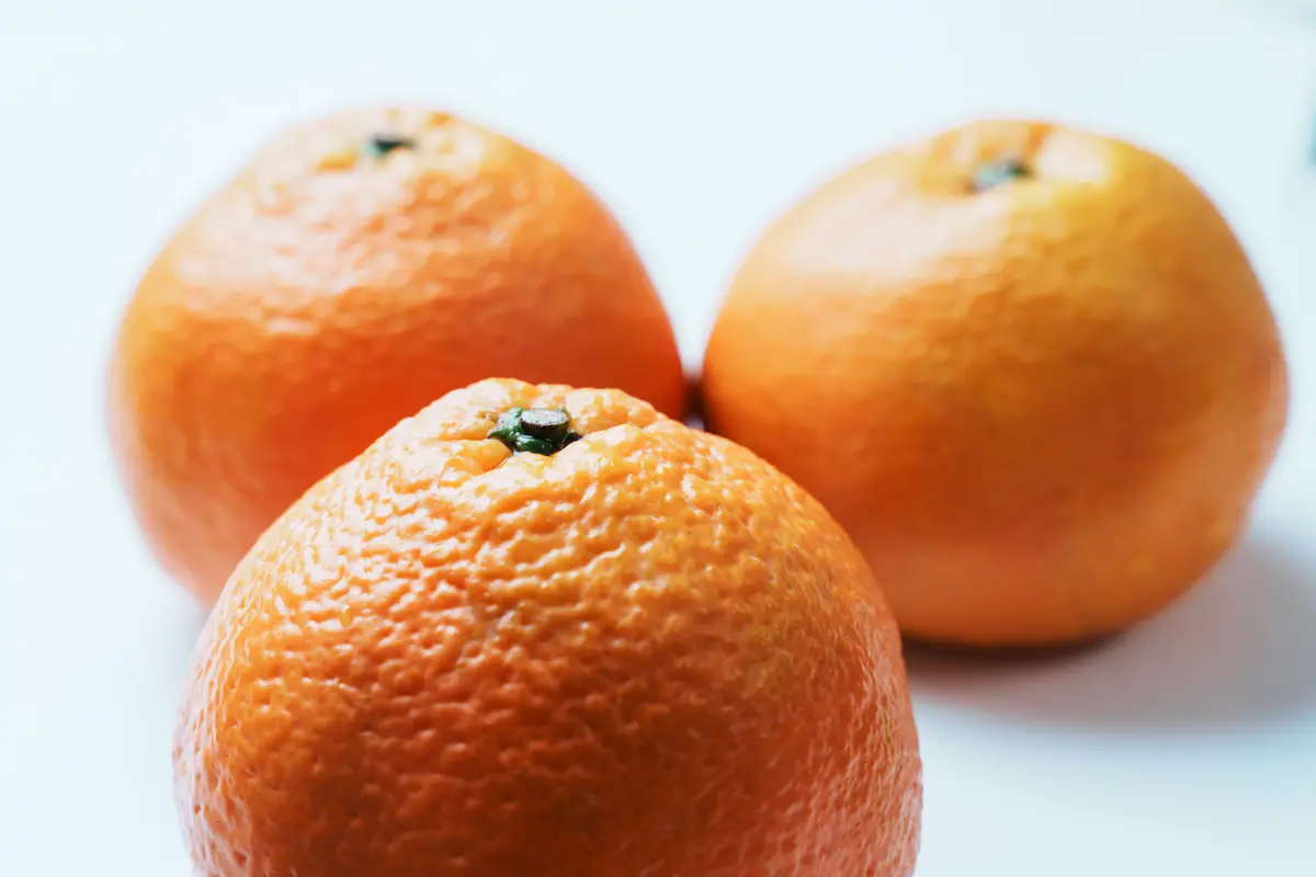 香りが良く、大粒な果肉が特徴のいよかん