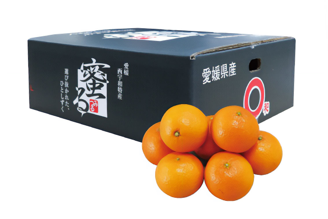 愛媛県の名物かんきつ「清見」