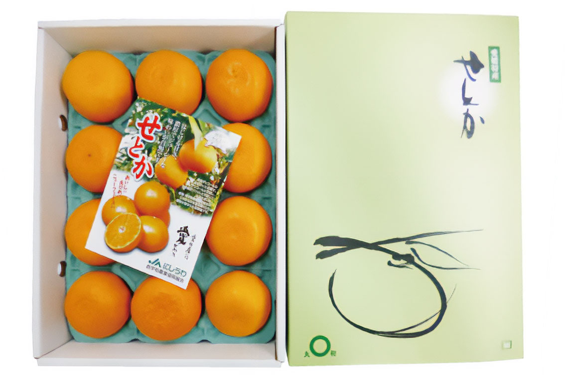 かんきつの大トロとも評される「せとか」