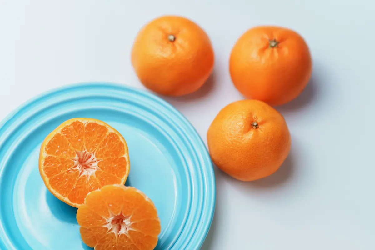 春に登場するかんきつ「はるみ」